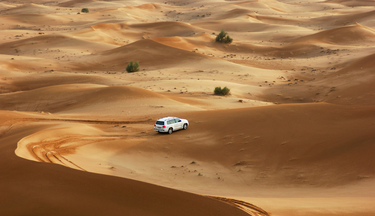 Safari Ride in Dubai